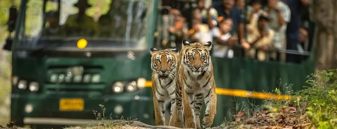 
    Destinations by Vanyarra