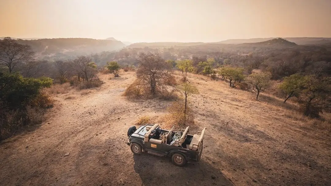 wildlife Tours by Vanyarra