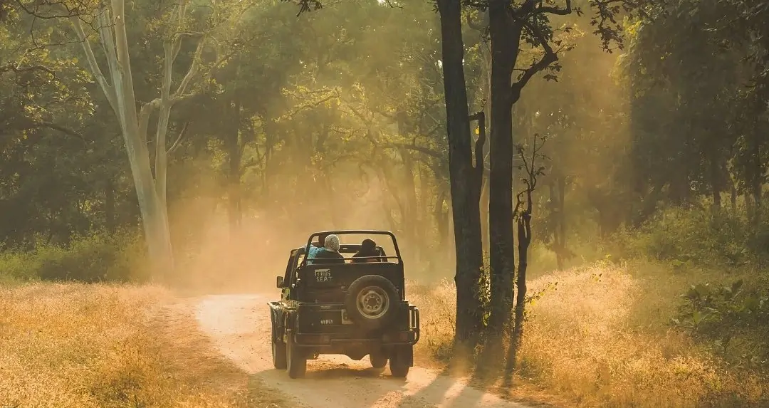 pench Tiger Safari Tour Package