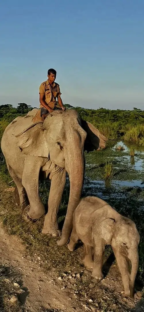 wildlife Tours by Vanyarra