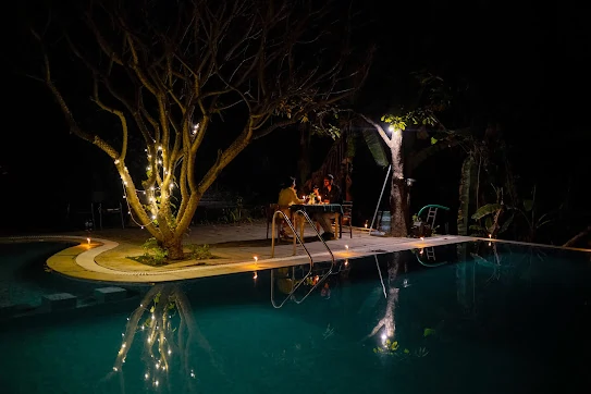 Pench Tiger Safari Resort