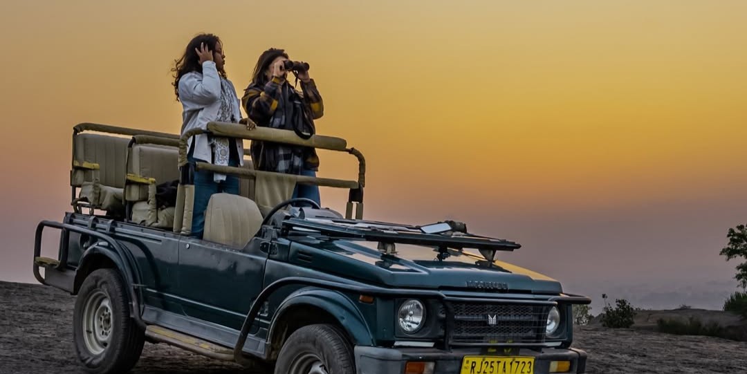 Luxury wildlife tour experience in India featuring a private jeep safari in a lush national park—perfect for tiger sightings, nature photography, and premium jungle travel with Vanyarra.